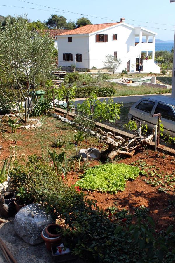Apartments By The Sea Brgulje, Molat - 6241 Bagian luar foto